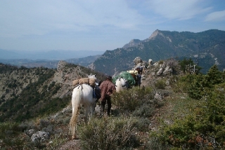  Adult equestrian outing 